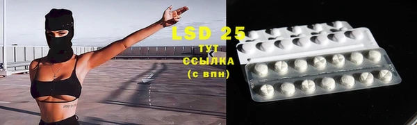 сатива Инта