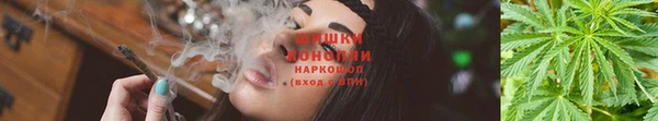 хмурый Наволоки